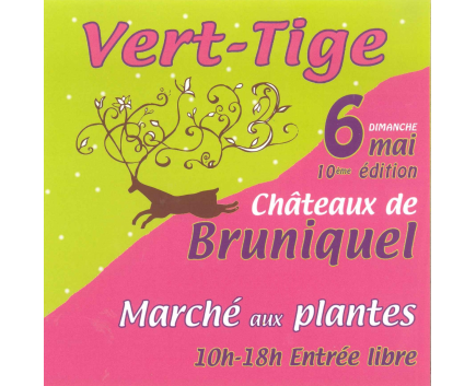 Vert-Tige Bruniquel (82)