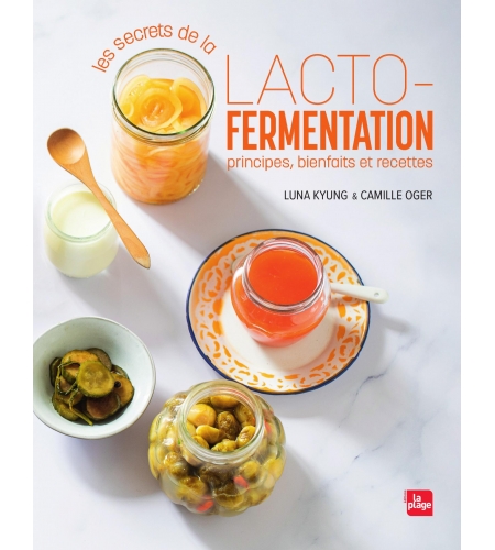 Les secrets de la lacto-fermentation