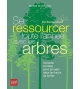 Se ressourcer toute l'année avec les arbres